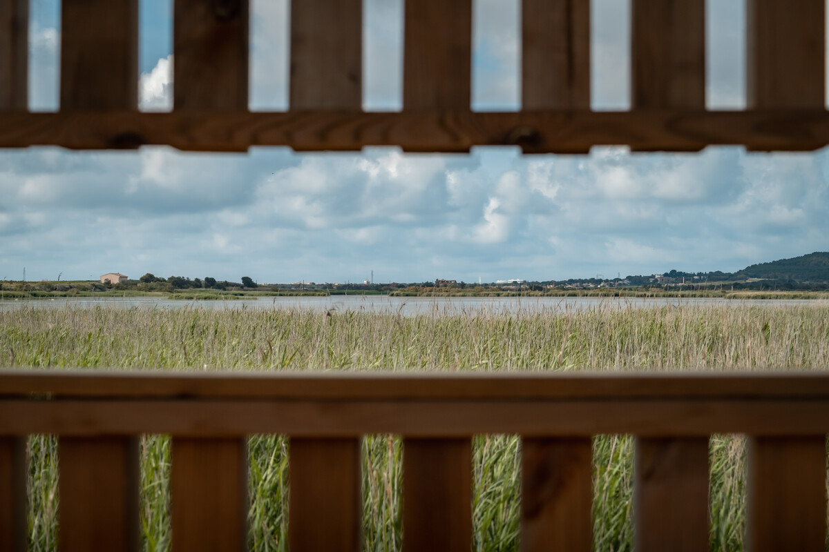LA RÉSERVE NATURELLE DU BAGNAS