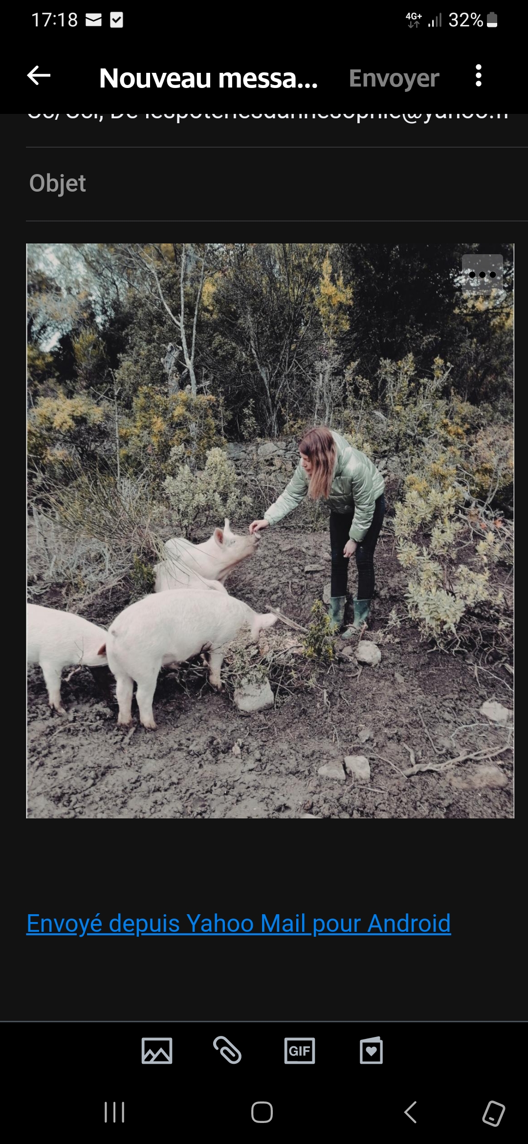 LES COCHONS DE LA GARRIGUE