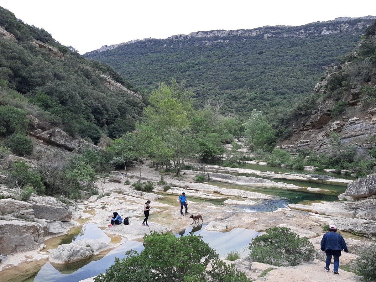 ÉCO SITE DU MOULIN DE RIBAUTE - GORGES DU VERDOUBLE