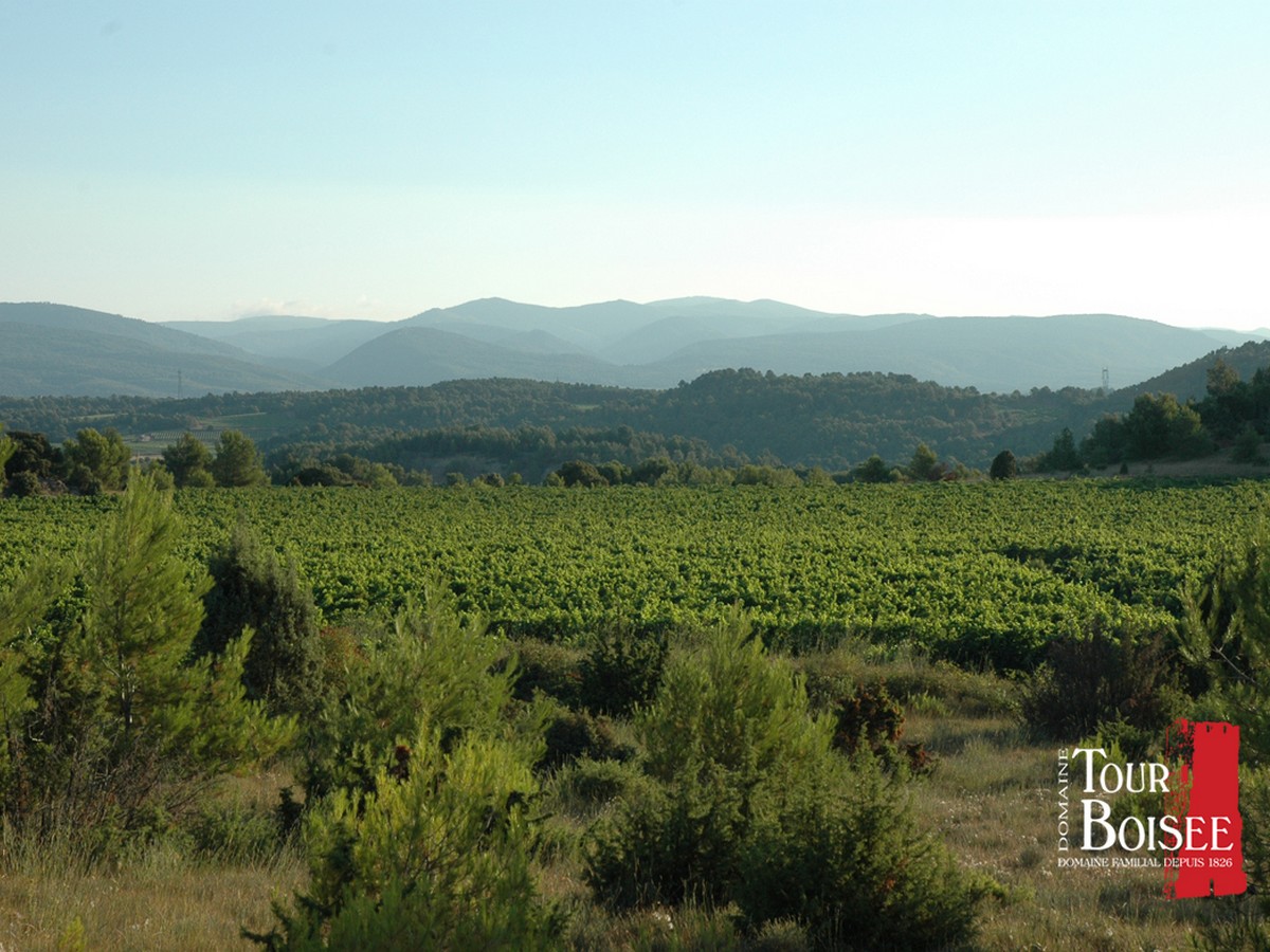 DOMAINE LA TOUR BOISÉE
