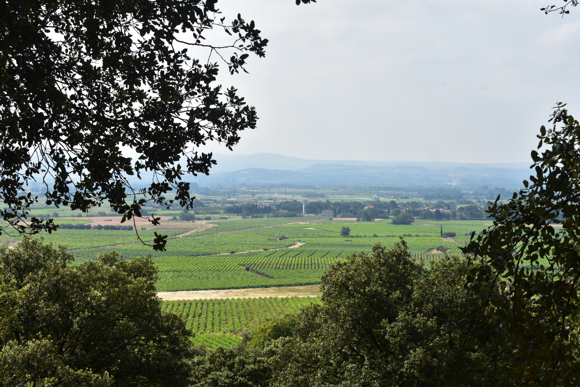Terroir de St Saturnin