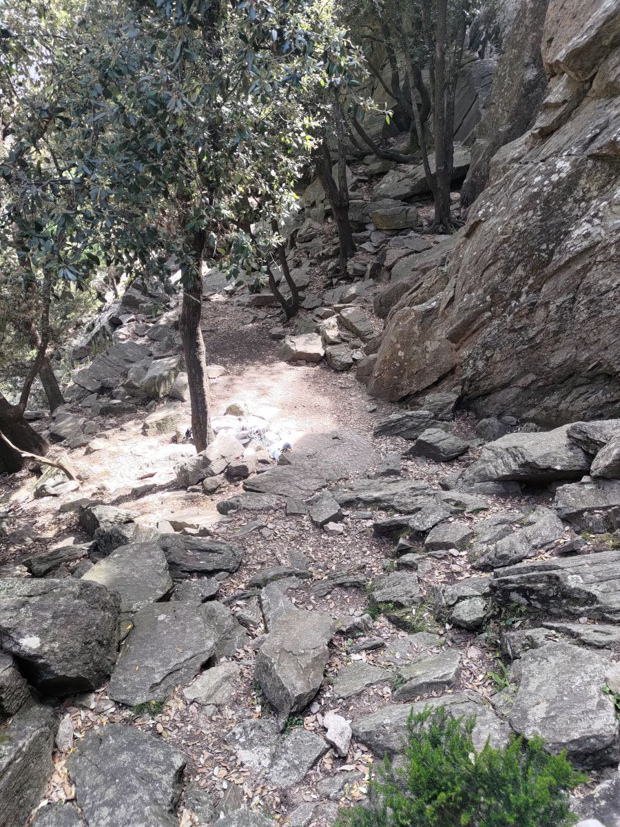 SITE D'ESCALADE ECOLE DE LA TÊTE DE BRAQUE, Mons - photo 2
