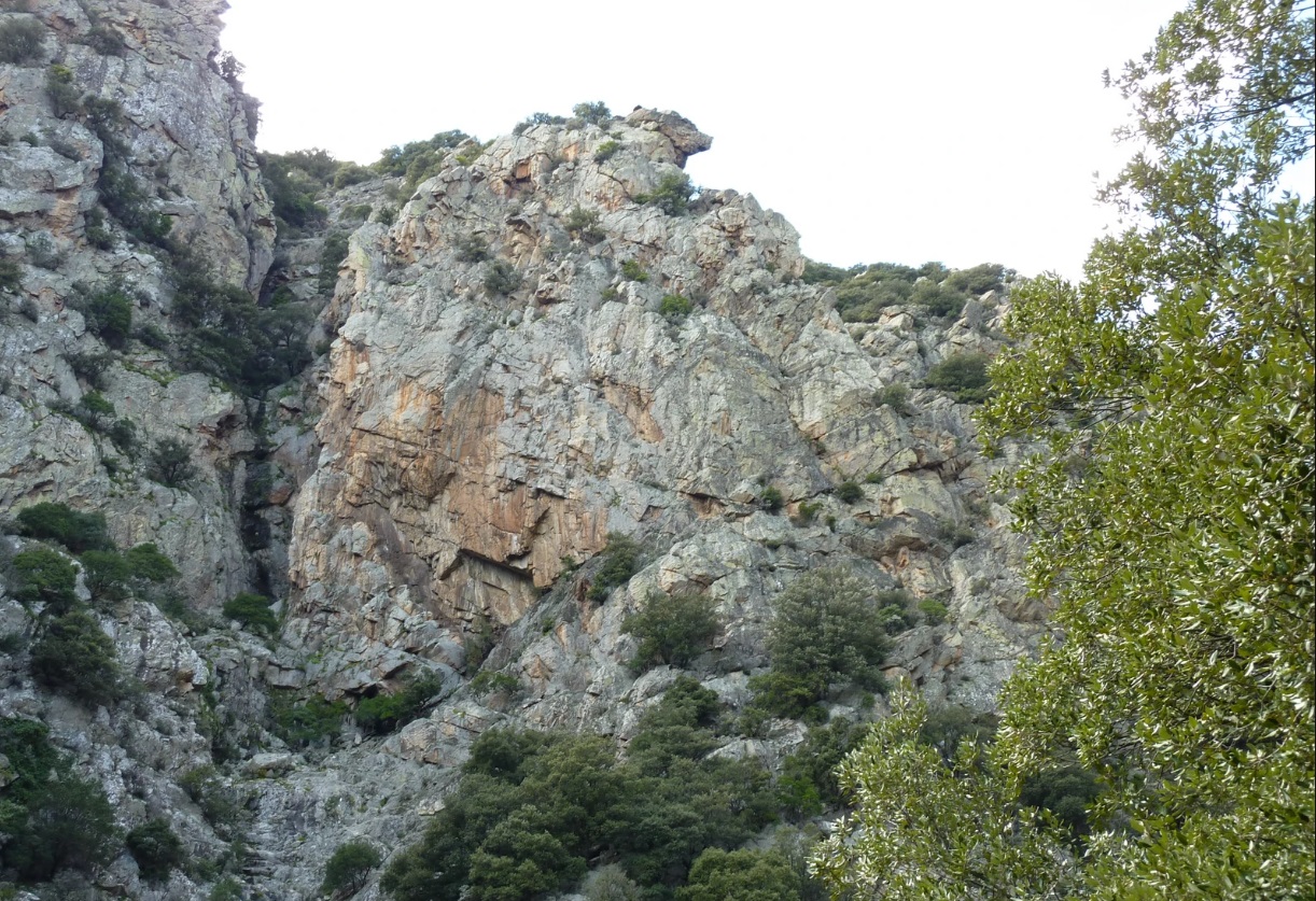 SITE D'ESCALADE ECOLE DE LA TÊTE DE BRAQUE