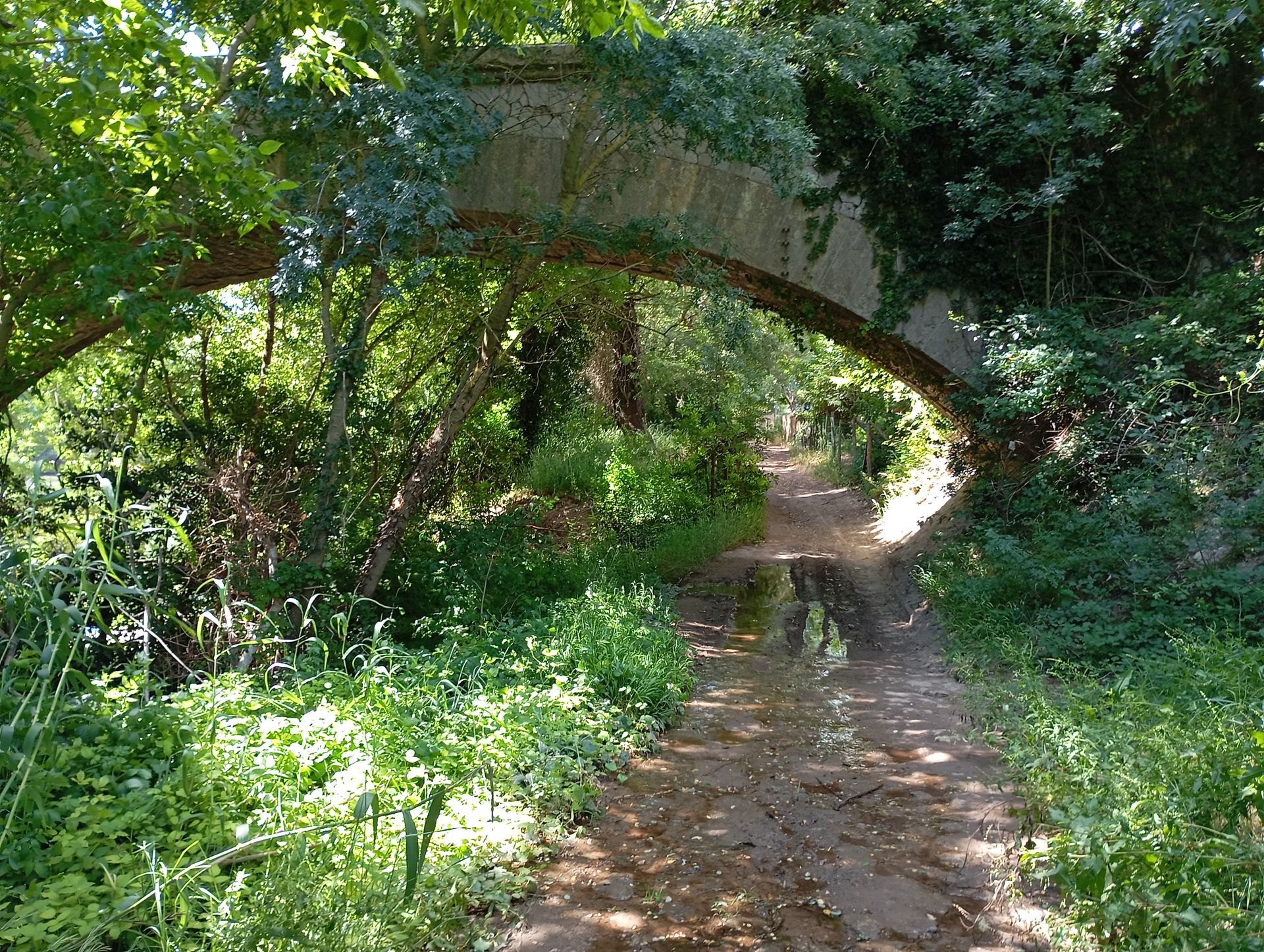 CIRCUIT N°18 PAULHAN ET LES RIVES DE L'HERAULT - ESPACE VTT-FFC DU SALAGOU, Paulhan