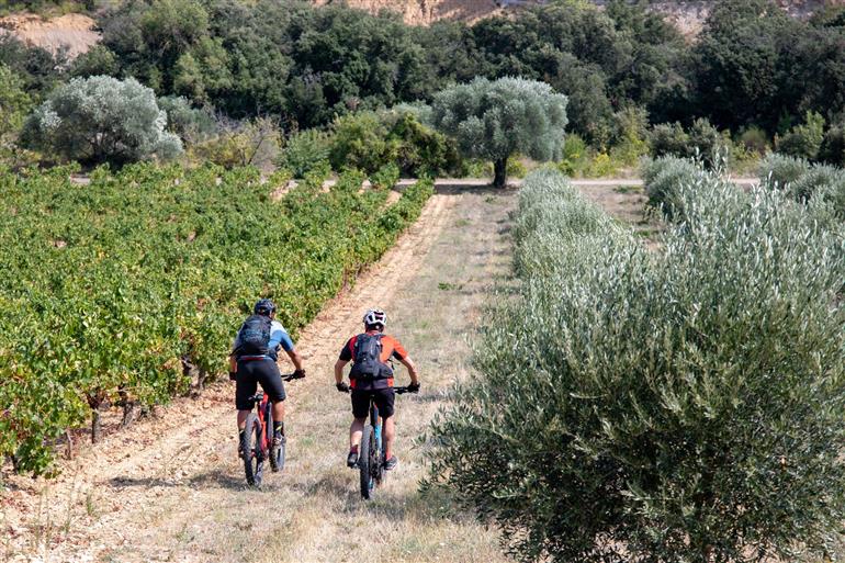 VTT-entre-vignes-et-oliviers©VTOPO-XLigonnet