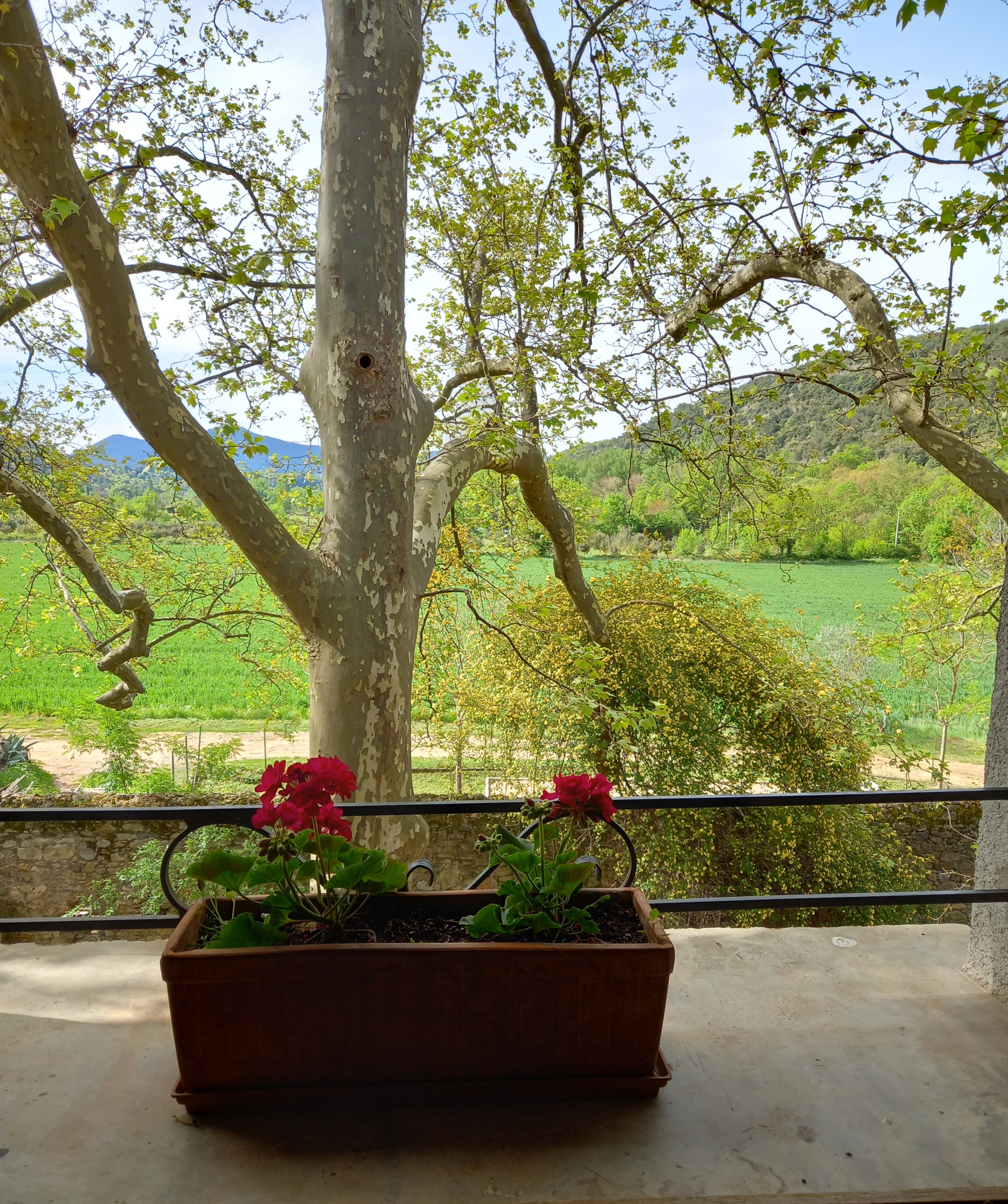 Domaine De Pelissols Chambre Myosotis