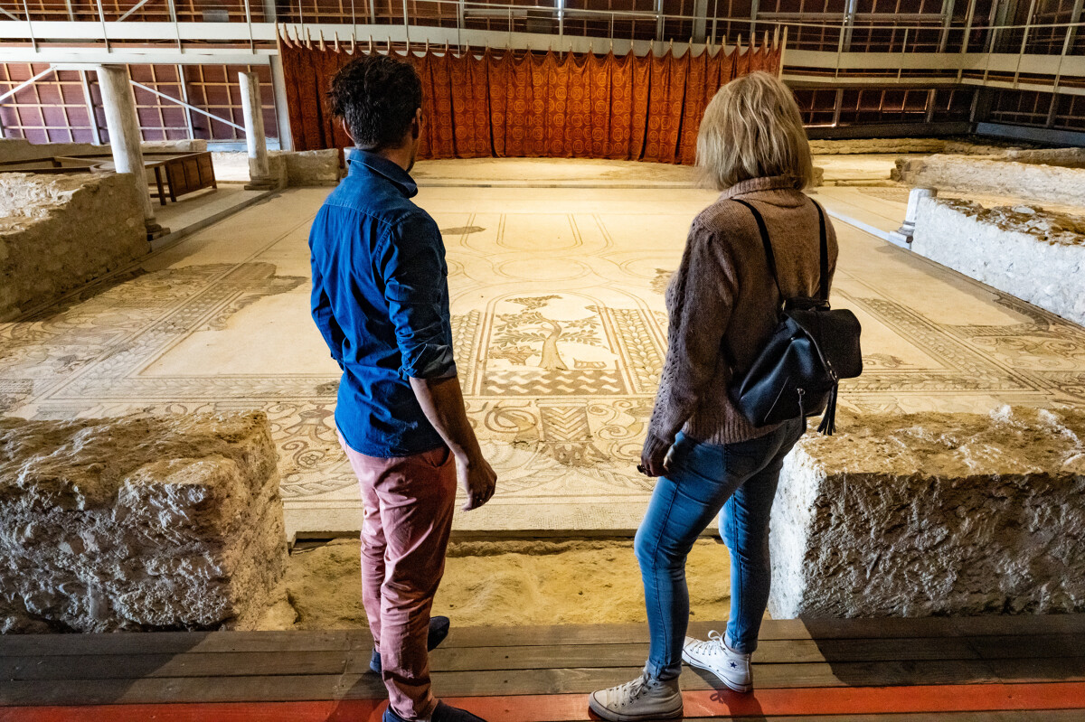 Régis DOMERGUE - OT Archipel de Thau