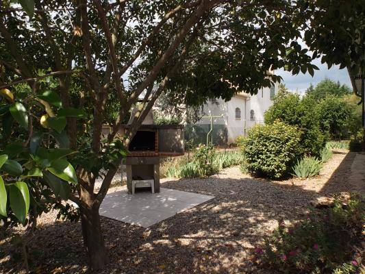 Le jardin avec barbecue.