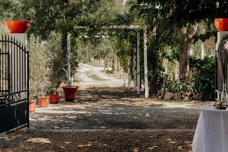 EL PATRIMONIO