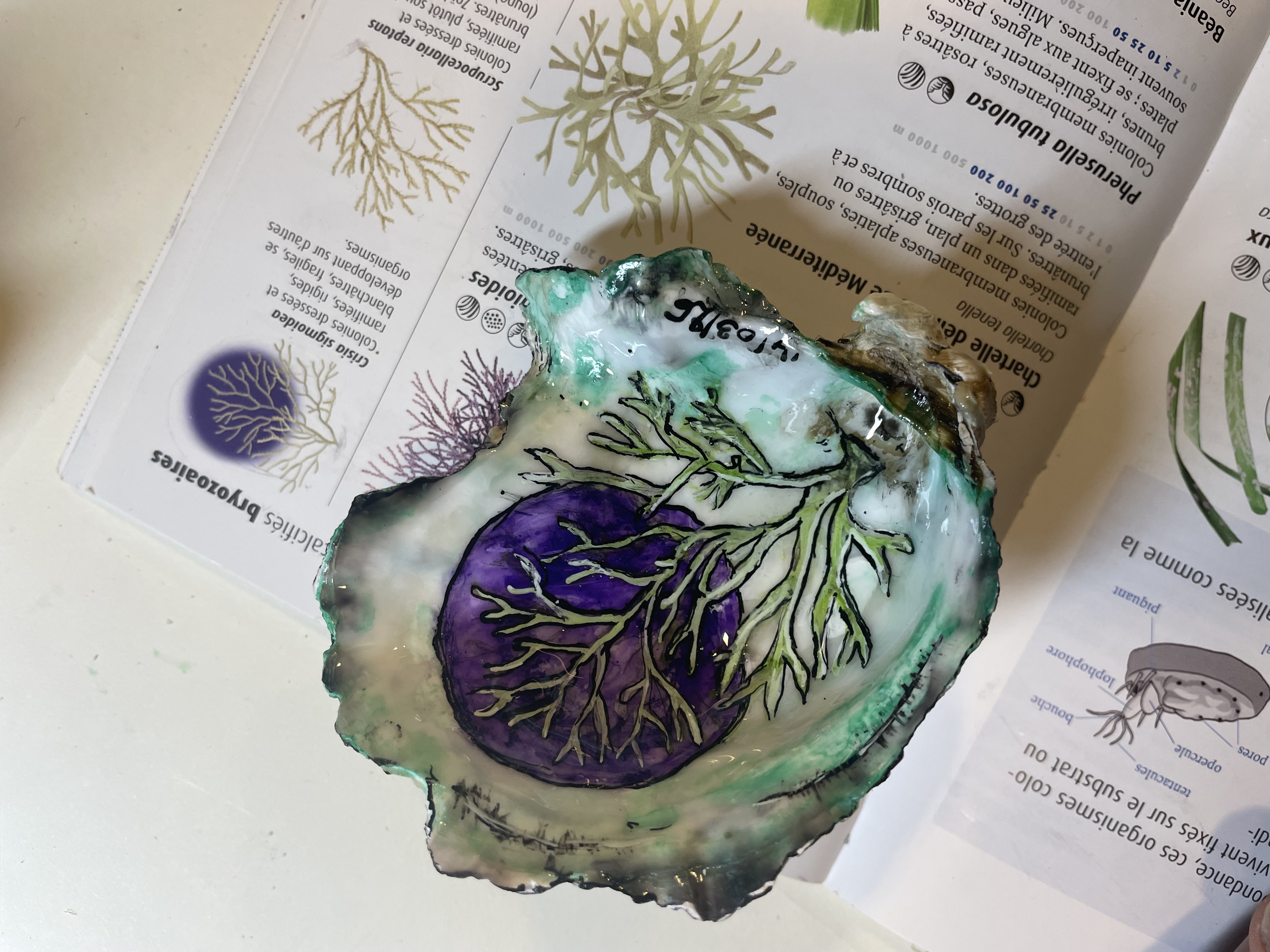 ATELIER PEINTURE SUR HUÎTRE ATELIER PEINTURE SUR HUÎTRE