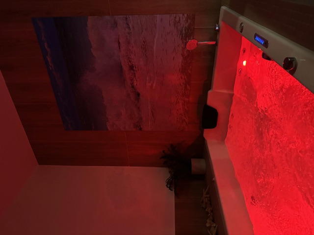 LES BAINS D'HYGIE, Castelnau-le-Lez - photo 12