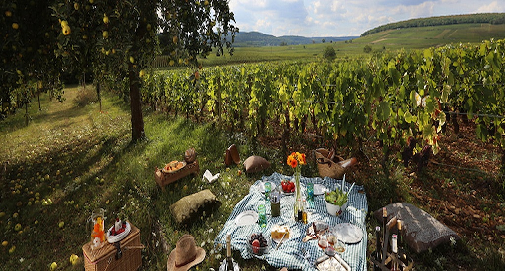 PIQUE-NIQUE CHEZ LE VIGNERON INDÉPENDANT