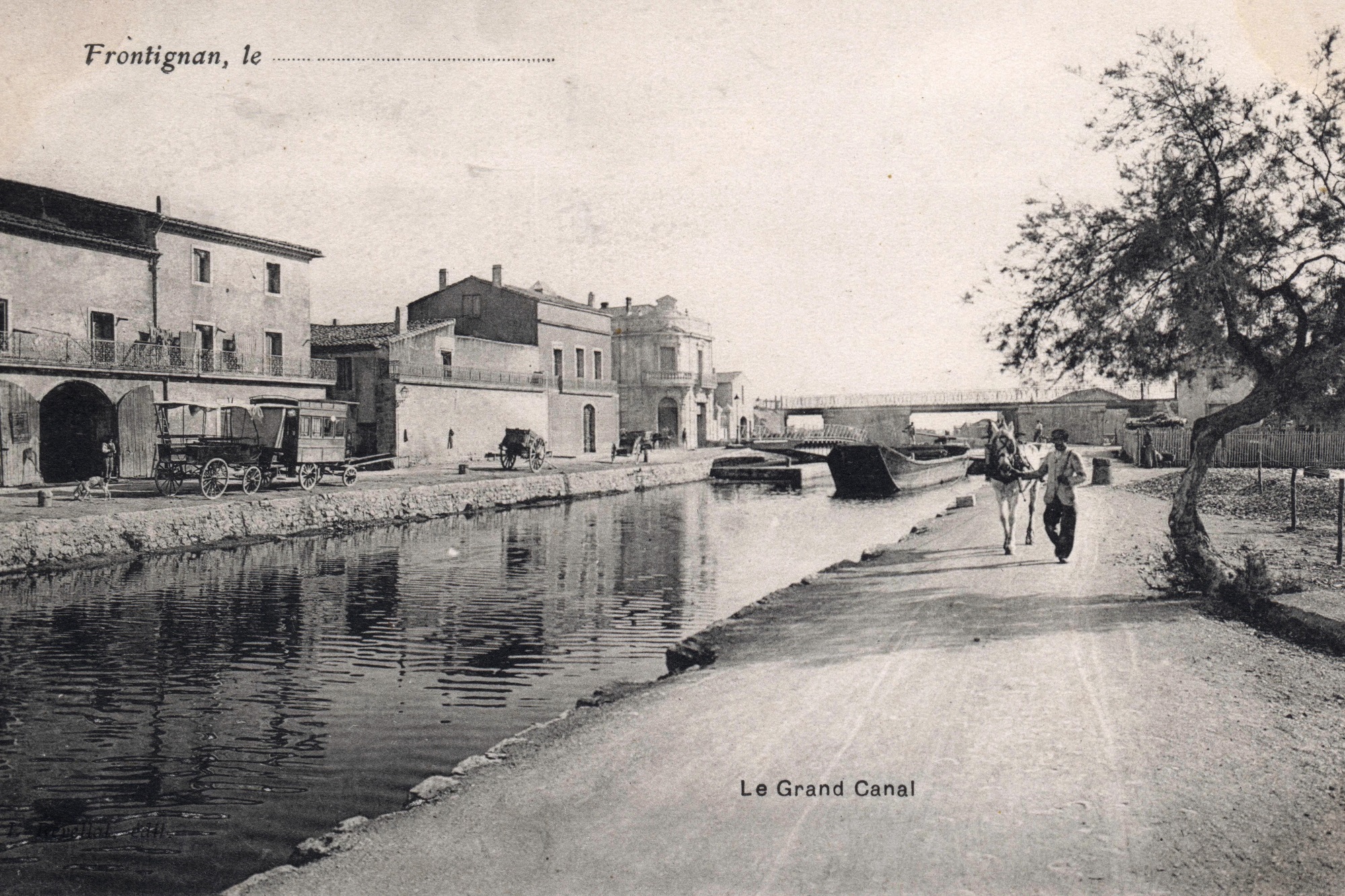Ville de Frontignan