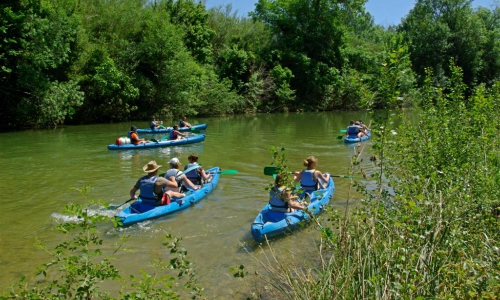 canoe-kayak-location-st-series-kayak-tribu500x300
