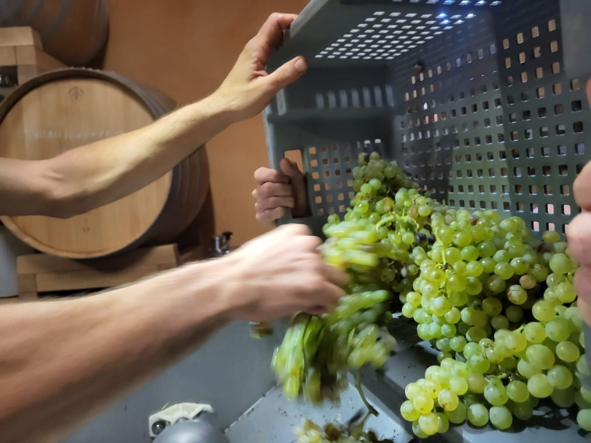 DOMAINE FLO BUSCH