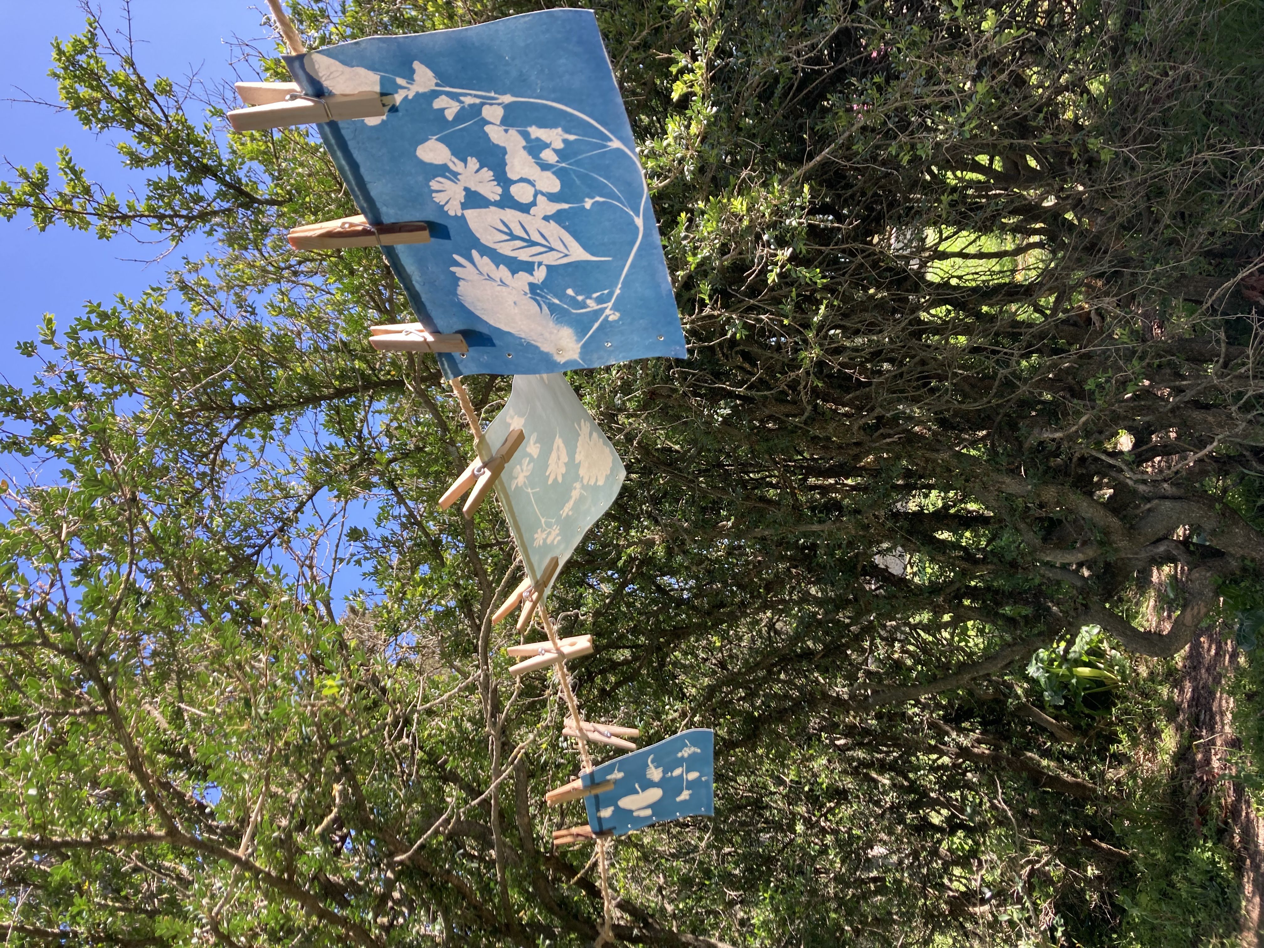 LES ATELIERS DE LA CABANE : DÉCOUVERTE DU CYANOTYPE