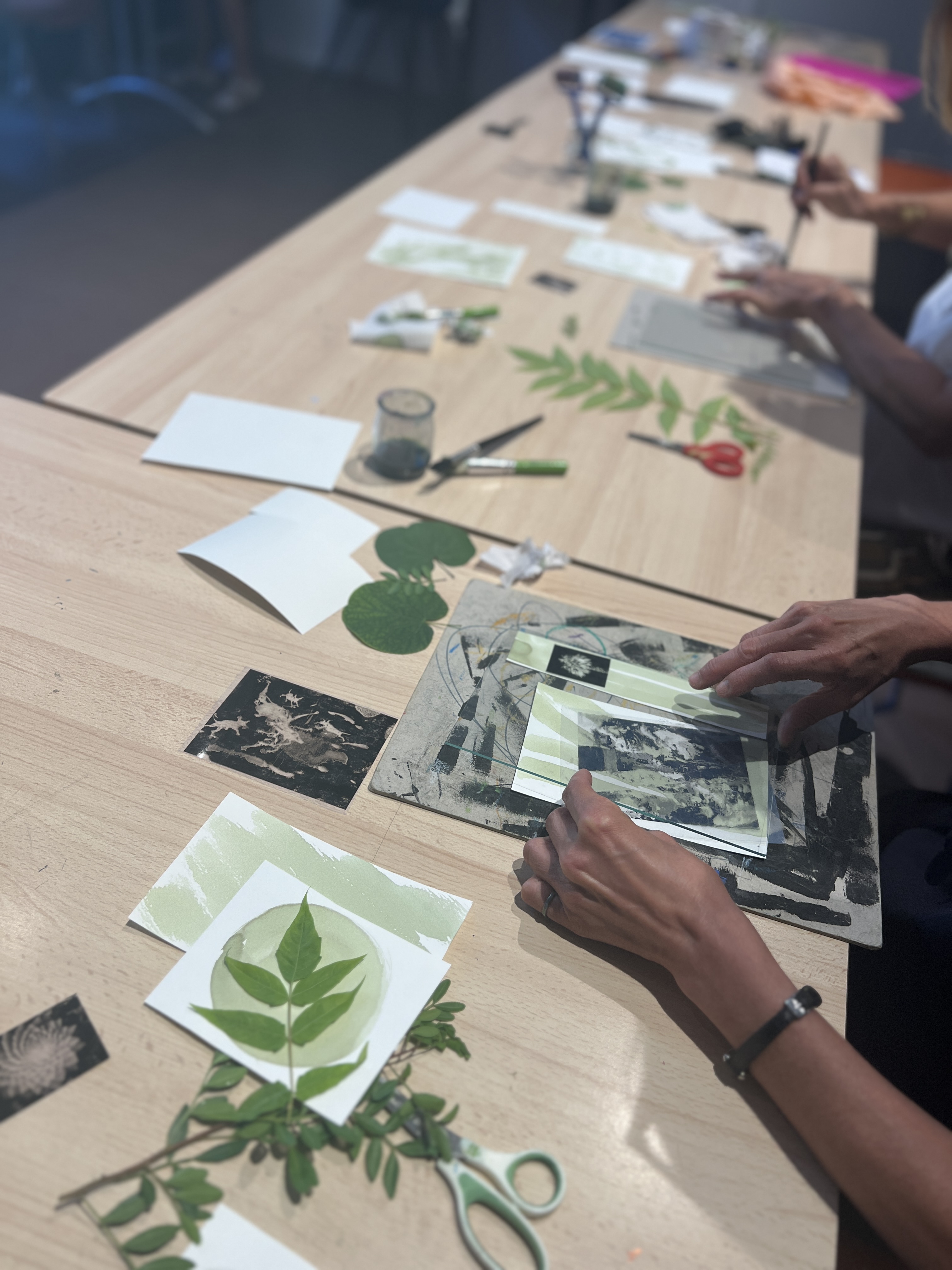 Musée Paul Valéry Musée Paul Valéry