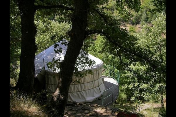 Monika Sonntag Benton