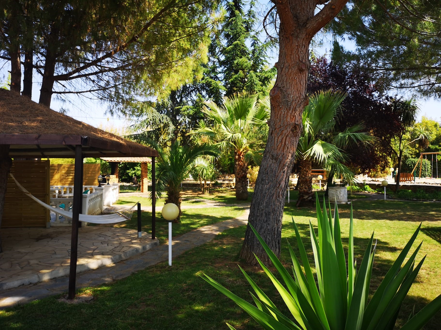 GÎTE L'HACIENDA « LE CYCAS » — photo 2