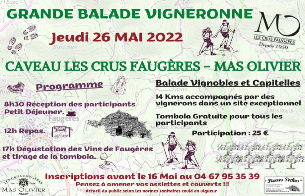 GRANDE BALADE VIGNERONNE