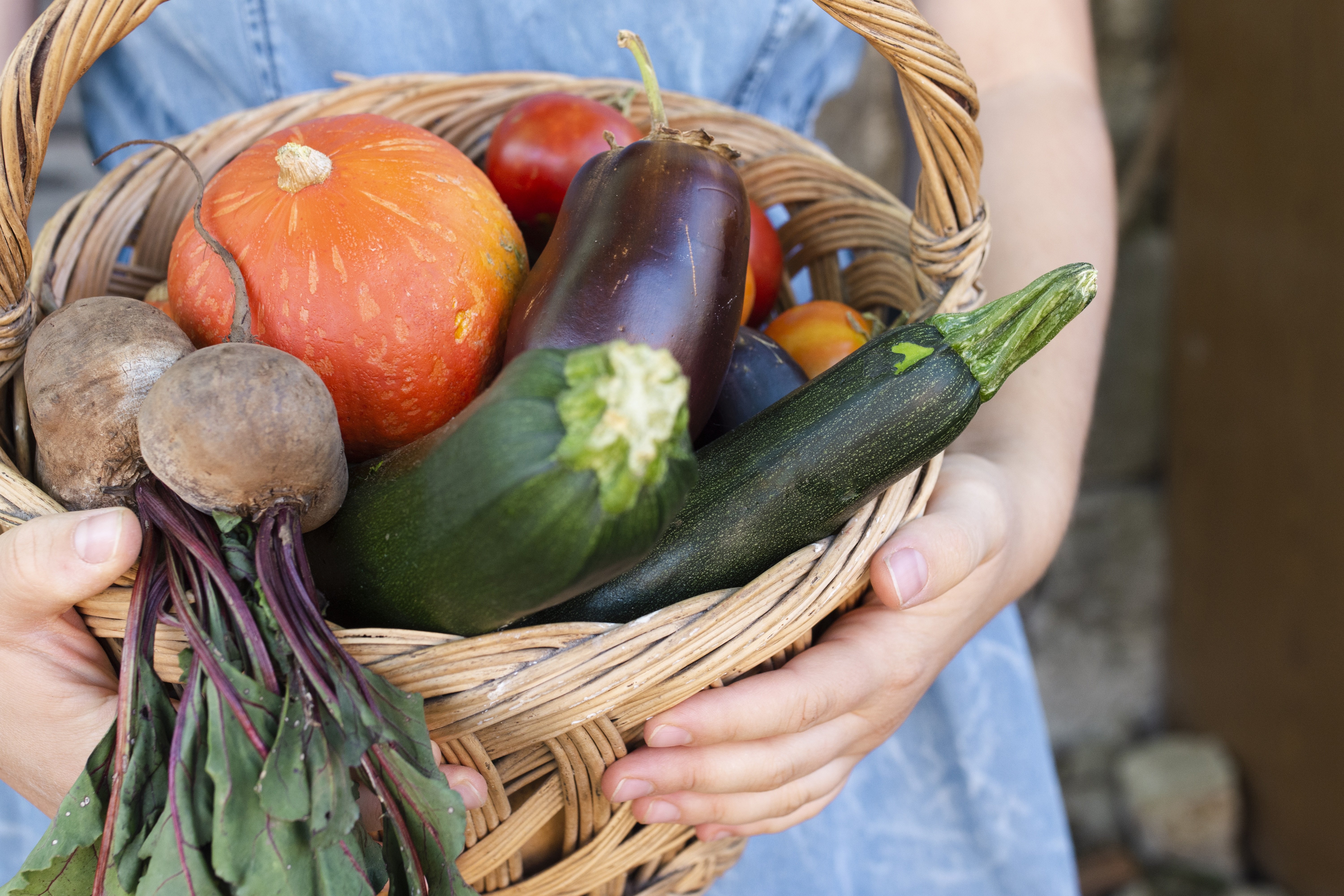 LE POTAGER DE LAURENCE