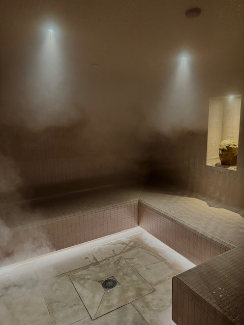 LES BAINS D'HYGIE, Castelnau-le-Lez - photo 5