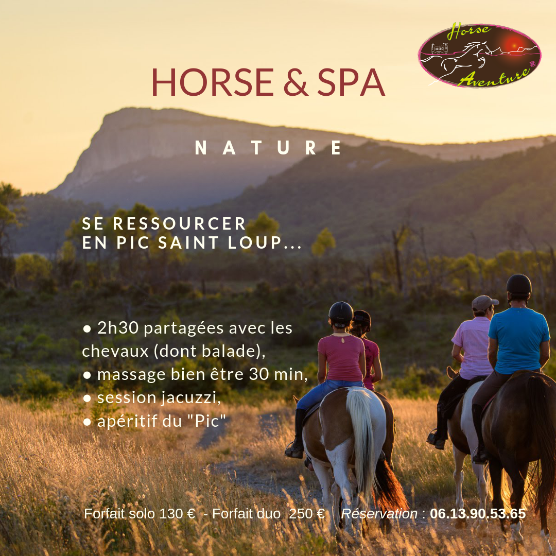 horse-spa-OT-2-2