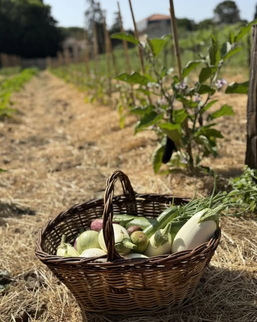 LE CHÊNE RESTAURANT-GUINGUETTE
