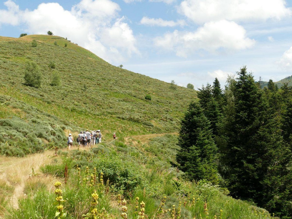 L'AUDE AU NAT