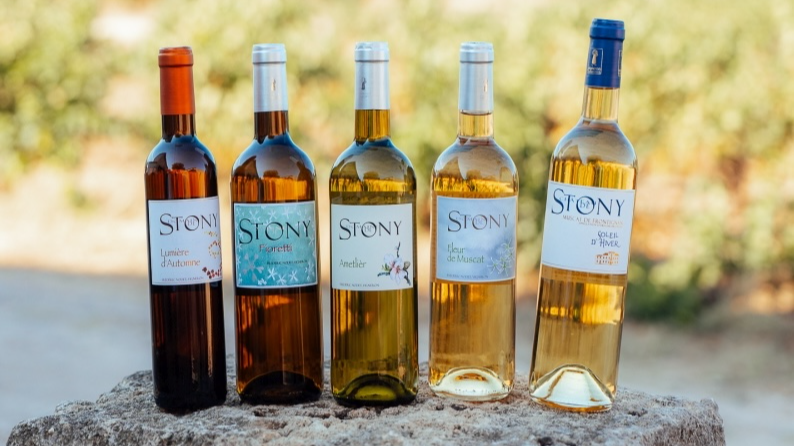 Céline Gomez Céline Gomez