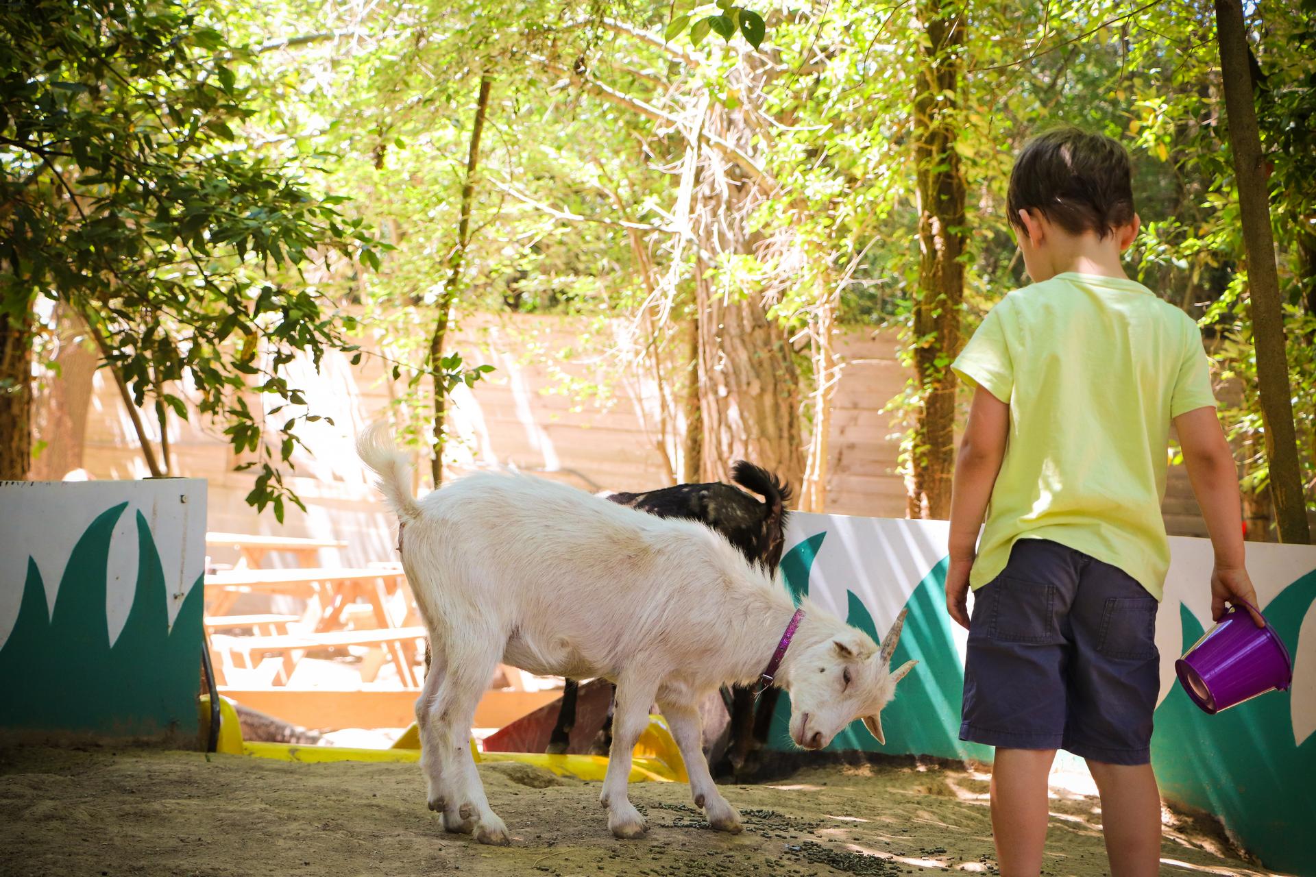 Mini ferme Herault - Parc de loisirs pour enfants