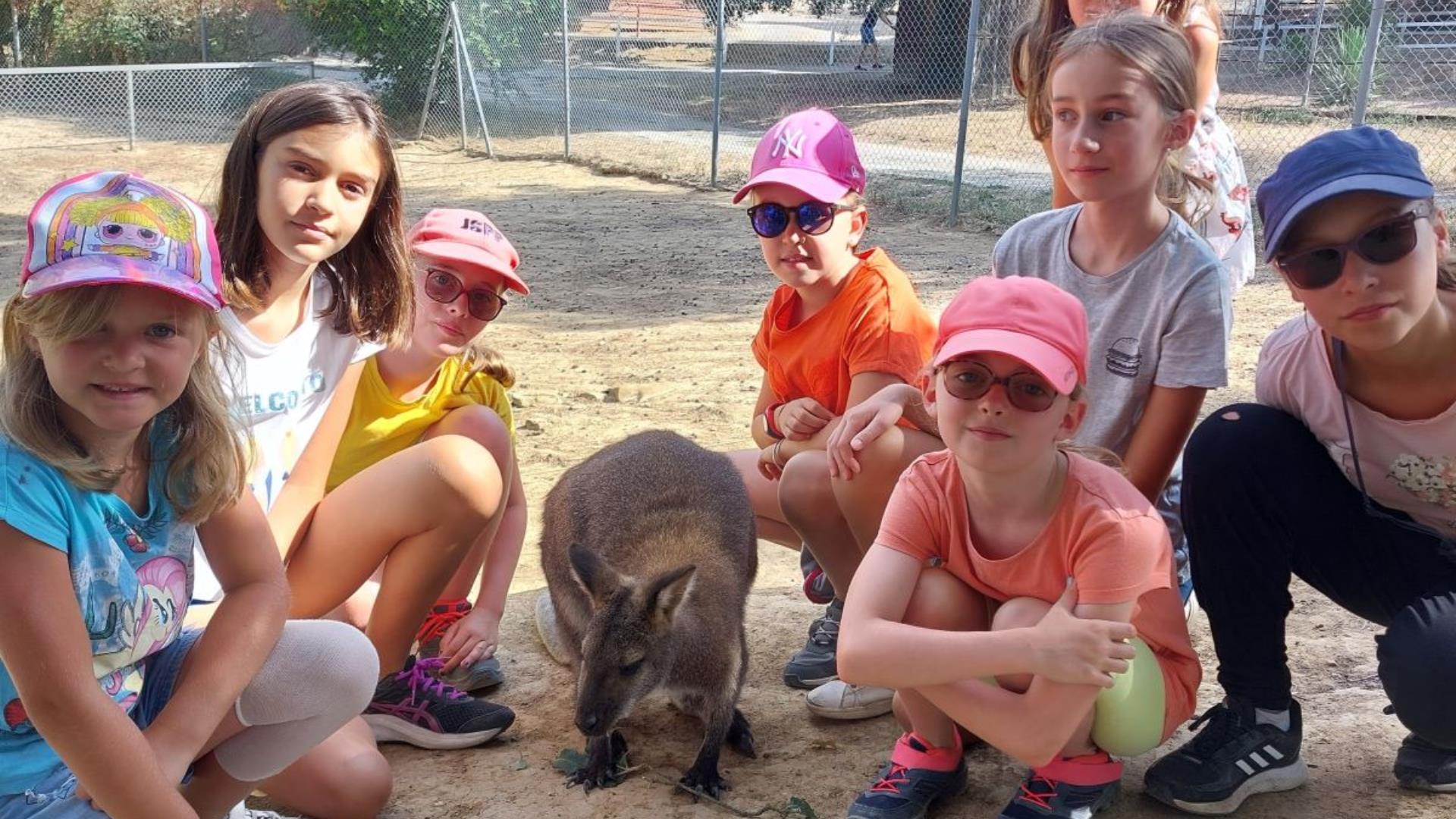 LE PARC AUSTRALIEN