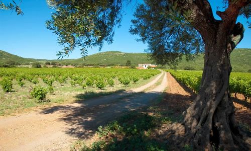 paysage Plaine Haute (1)