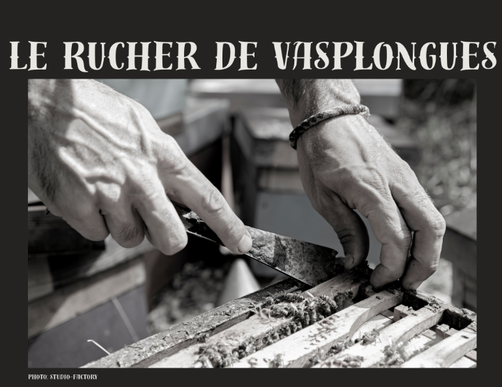 LE RUCHER DE VASPONGLES