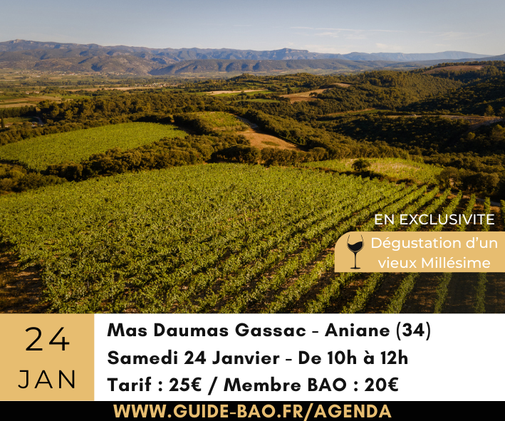 VISITE GUIDÉE MAS DE DUMAS GASSAC