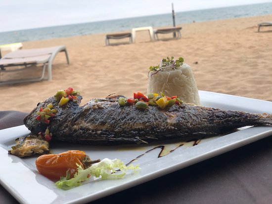 RESTAURANT LES CANISSES, Vendres - photo 2