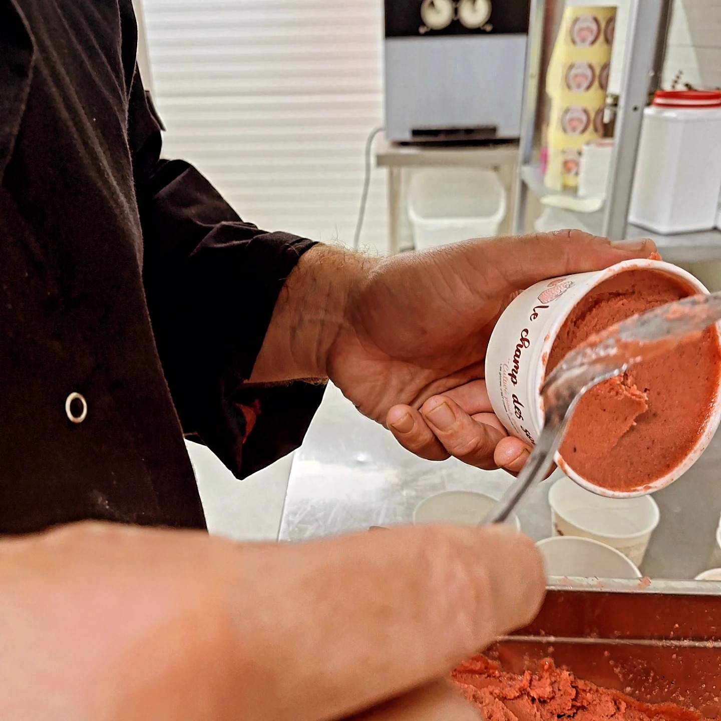 LE CHAMP DES SORBETS
