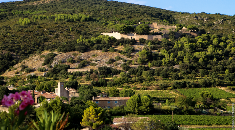 ENTRE MÉMOIRE DES PIERRES ET SAVOIR-FAIRE VIGNERON