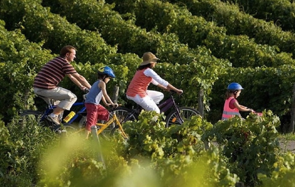 thaux bike 2 1024x650