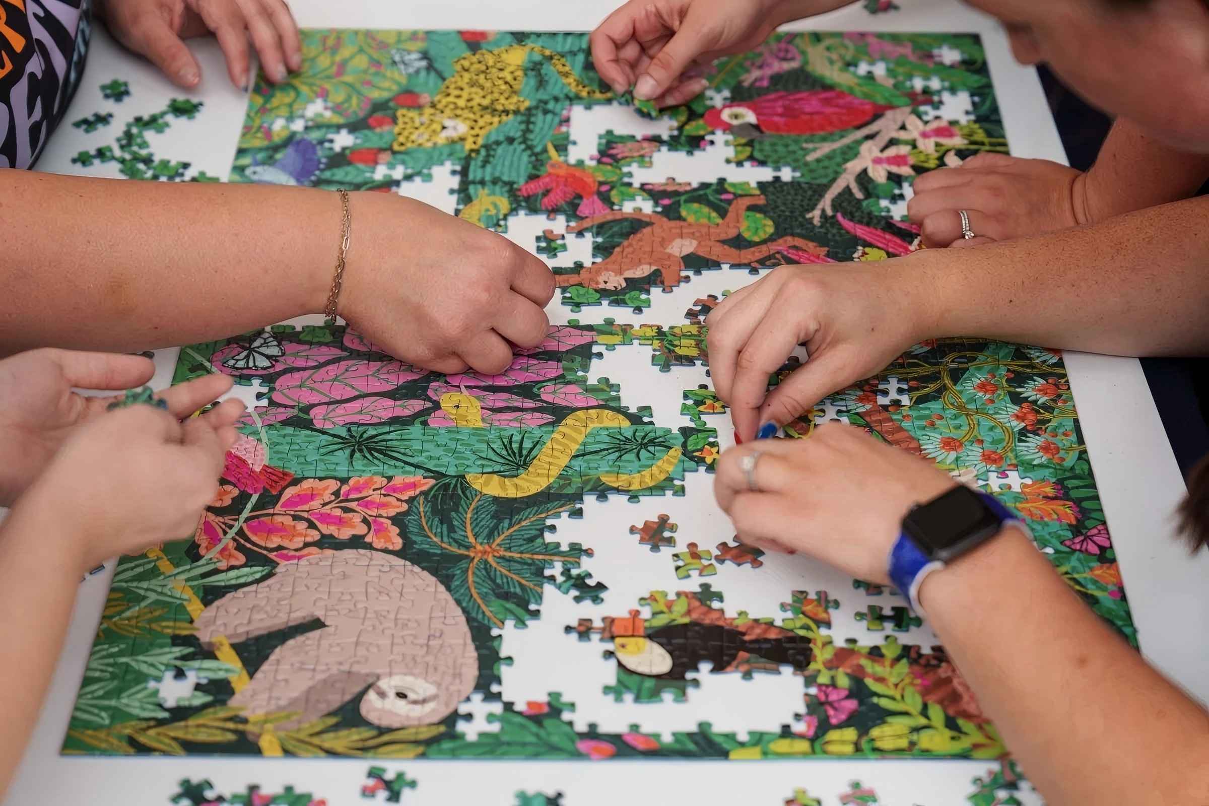 TOURNOI DE PUZZLE
