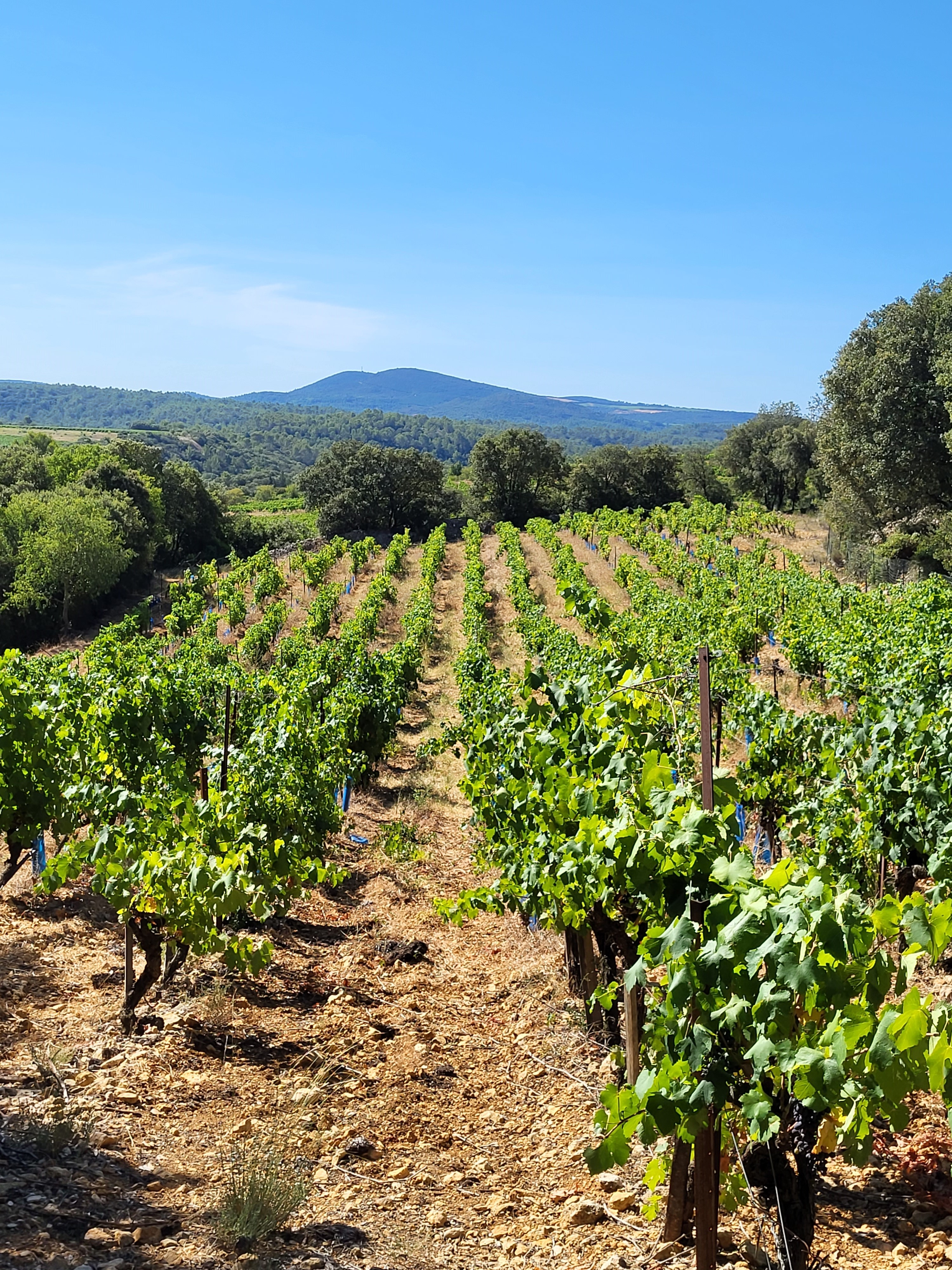 DOMAINE DE PERPREZE