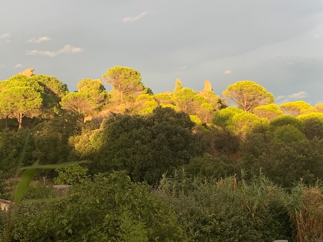 LES JONCAS - CHAMBRE LES PINS